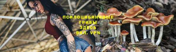 молекула духа Куйбышев