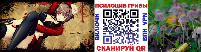 Псилоцибиновые грибы ЛСД  Полтавская 