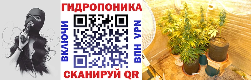 хочу наркоту  Полтавская  Марихуана индика 